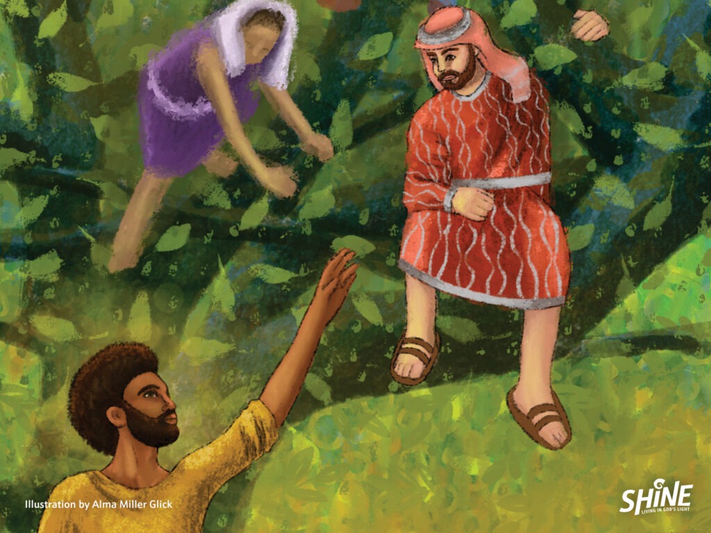 Zacchaeus